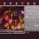 В Белорецке стартовал традиционный смотр-конкурс на лучшее новогоднее оформление.mp4_snapshot_00.02_[2023.12.27_09.06.27]