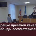 В Белорецке пресечен канал контрабанды лесоматериалов.mp4_snapshot_00.01_[2024.02.15_08.52.53]