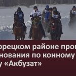 В Белорецком районе прошли соревнования по конному спорту «Акбузат».mp4_snapshot_00.02_[2024.02.13_09.09.42]