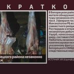 Житель Белорецкого района незаконно застрелил лося.mp4_snapshot_00.01_[2024.02.06_10.23.45]