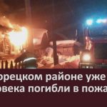 В Белорецком районе уже 2 человека погибли в пожарах.mp4_snapshot_00.02_[2024.03.06_09.15.39]