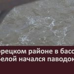 В Белорецком районе в бассейне реки Белой начался паводок.mp4_snapshot_00.03_[2024.04.10_09.06.28]