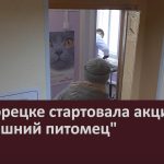 В Белорецке стартовала акция «Домашний питомец».mp4_snapshot_00.02_[2024.05.16_09.05.51]