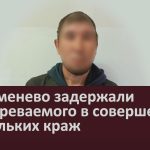 В Серменево задержали подозреваемого в совершении нескольких краж.mp4_snapshot_00.02_[2024.05.28_08.59.58]