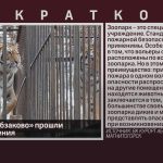 В зоопарке «Абзаково» прошли пожарные учения.mp4_snapshot_00.02_[2024.05.18_08.52.31]