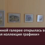 В картинной галерее открылась выставка «Золотая коллекция графики».mp4_snapshot_00.01_[2024.07.24_09.06.10]