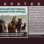 Белоречане могут принять участие в фестивале лошадей башкирской породы «Башкорт Аты».mp4_snapshot_00.02_[2024.08.07_08.53.12]