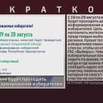 В Башкортостане будет проходить адресное информирование избирателей.mp4_snapshot_00.02_[2024.08.20_08.53.42]