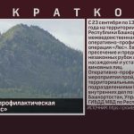 Оперативно-профилактическая операция «Лес».mp4_snapshot_00.02_[2024.09.19_09.03.24]