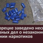 В Белорецке заведено несколько уголовных дел о незаконном хранении наркотиков.mp4_snapshot_00.02_[2024.09.11_09.05.48]