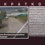 В село Усмангали Белорецкого района повадились медведи.mp4_snapshot_00.02_[2024.09.24_08.48.44]