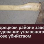 В Белорецком районе завершено расследование уголовного дела об угрозе убийством.mp4_snapshot_00.01_[2024.10.12_09.10.01]