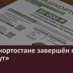 В Башкортостане завершён проект «Рекрут».mp4_snapshot_00.01_[2024.11.02_09.04.40]