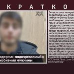 В Белорецке задержан подозреваемый в смертельном избиении мужчины.mp4_snapshot_00.01_[2024.11.16_20.54.03]