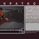 Белорецкие спасатели спасли тонущую собаку.mp4_snapshot_00.02_[2024.12.24_09.26.08]