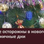 Будьте осторожны в новогодние праздничные дни.mp4_snapshot_00.01_[2024.12.26_08.24.57]