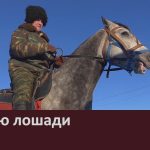 Ко дню лошади.mp4_snapshot_00.01_[2024.12.17_09.16.25]