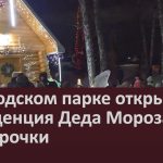 В городском парке открылась резиденция Деда Мороза и Снегурочки.mp4_snapshot_00.01_[2024.12.29_09.13.26]