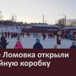 В селе Ломовка открыли хоккейную коробку.mp4_snapshot_00.01_[2025.01.10_08.59.35]