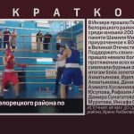 Первенство Белорецкого района по боксу.mp4_snapshot_00.02_[2025.03.26_09.17.26]
