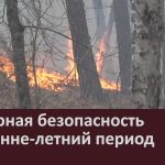 Пожарная безопасность в весенне-летний период.mp4_snapshot_00.01_[2025.03.29_09.07.58]