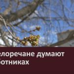 Что белоречане думают о субботниках.mp4_snapshot_00.02_[2025.04.16_08.36.22]