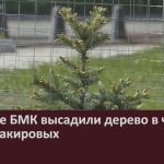 На БМК высадили дерево в честь семьи Закировых.mp4_snapshot_00.01_[2025.05.31_09.08.42]