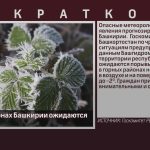 В горных районах Башкирии ожидаются заморозки.mp4_snapshot_00.01_[2025.05.17_09.39.21]