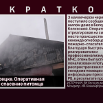 vlcsnap-2025-05-04-02h09m51s747