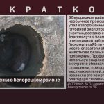 Спасение теленка в Белорецком районе.mp4_snapshot_00.02_[2025.06.05_08.43.47]