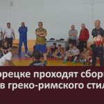 В Белорецке проходят сборы борцов греко-римского стиля.mp4_snapshot_00.01_[2025.06.18_09.09.14]