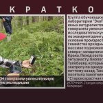 Воспитанники СЮН совершили увлекательную исследовательскую экспедицию.mp4_snapshot_00.07_[2025.06.10_09.40.41]