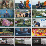 Новости Белорецка на русском языке от 23 июля 2025 года. Полный выпуск. Безымянный11