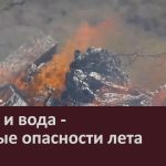 Огонь и вода — главные опасности лета.mp4_snapshot_00.00_[2025.07.16_09.19.11]