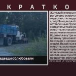 В Межгорье медведи облюбовали грузовик.mp4_snapshot_00.01_[2025.07.15_09.07.36]
