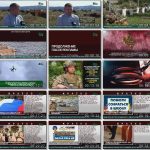 2025-08-22 19-00-05.flv_thumbs_[2025.08.22_19.27.15]