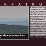 Лесные пожары в Белорецком районе под контролем.mp4_snapshot_00.02_[2025.08.08_08.58.12]