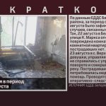 Происшествия в период с 18 по 24 августа.mp4_snapshot_00.01_[2025.08.27_21.13.50]