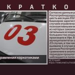 Статистика отравления наркотиками.mp4_snapshot_00.02_[2025.08.08_09.09.11]