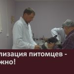 Стерилизация питомцев — это важно!.mp4_snapshot_00.02_[2025.08.26_14.19.35]