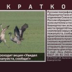 В Башкирии проходит акция «Увидел журавля – пожалуйста, сообщи!».mp4_snapshot_00.01_[2025.08.30_09.34.45]
