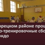 В Белорецком районе прошли учебно-тренировочные сборы по тхэквондо.mp4_snapshot_00.02_[2025.08.21_09.54.44]