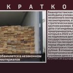 Белоречанин обвиняется в незаконном экспорте лесоматериалов.mp4_snapshot_00.03_[2025.09.10_09.41.12]