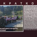 Легкоатлетический кросс на призы Галины Богомоловой.mp4_snapshot_00.01_[2025.09.16_09.28.50]