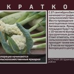 С 27 сентября в Белорецке начинаются традиционные сельскохозяйственные ярмарки.mp4_snapshot_00.01_[2025.09.25_09.08.07]