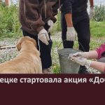 В Белорецке стартовала акция «Добролап».mp4_snapshot_00.03_[2025.09.10_09.50.58]