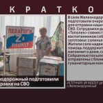 В селе Железнодорожный подготовили посылку к отправке на СВО.mp4_snapshot_00.02_[2025.09.02_09.38.51]