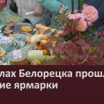 В школах Белорецка прошли осенние ярмарки.mp4_snapshot_00.02_[2025.09.17_16.26.42]