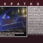 Об оперативной ситуации в Белорецком районе за прошедшую неделю.mp4_snapshot_00.00_[2025.10.16_08.56.28]