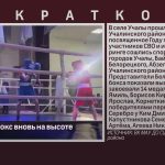 Белорецкий бокс вновь на высоте.mp4_snapshot_00.00_[2025.11.18_09.04.17]